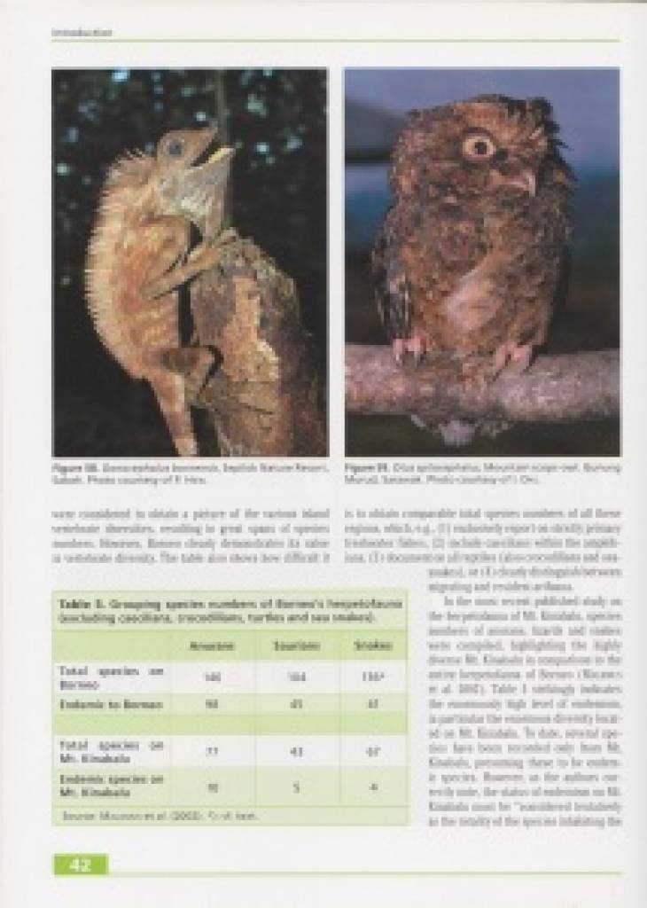 Taxonomy, Life History and Conservation of Giant Reptiles in West Kalimantan